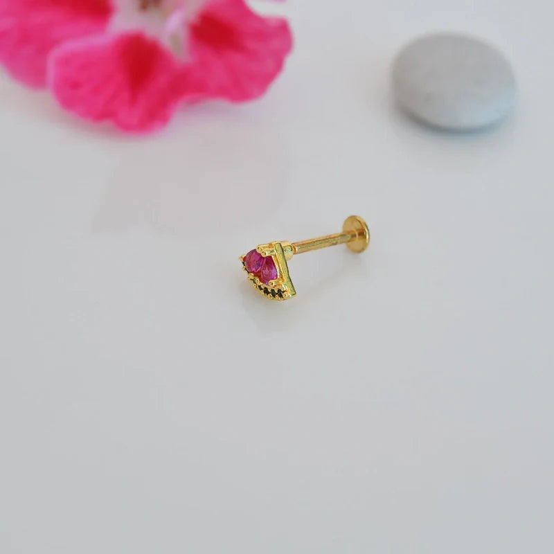 Steel Watermelon Slice Earrings Fruit Earrings,  Summer Earrings, Stud Earrings, Conch  Tragus Piercing Helix Lobe Cartilage