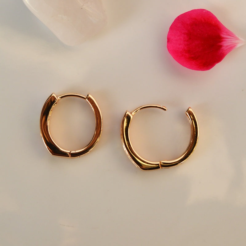 Hoop Earrings Multicolour Shiny Stone Earrings Curved  Earrings Gold