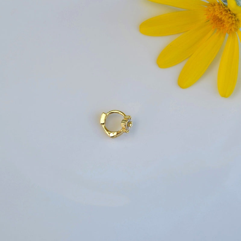 #flower colour_transparent