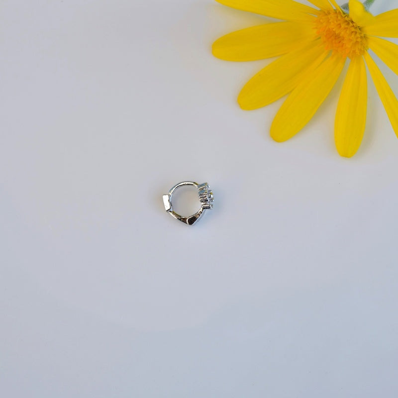 #flower colour_transparent