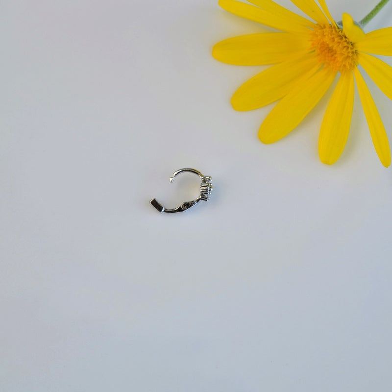 #flower colour_transparent