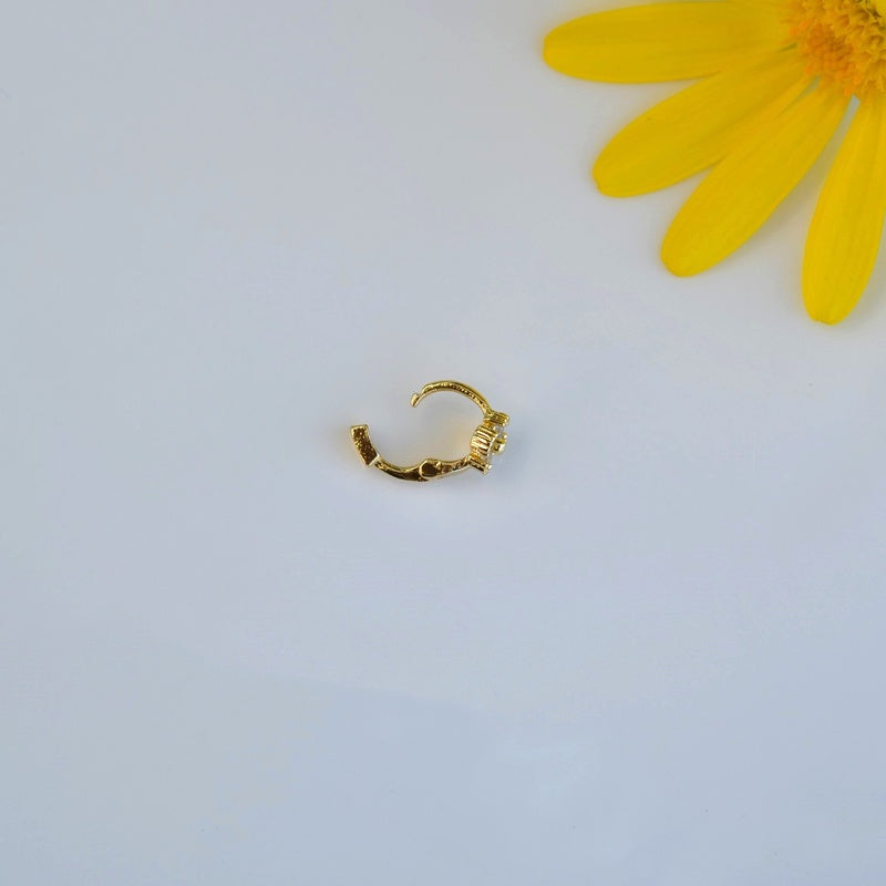 #flower colour_transparent