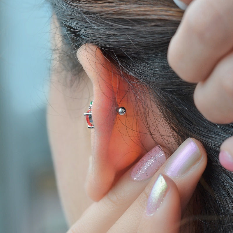 Red Apple Earring, Apple Earrings Stud Earrings   Helix Cartilage Piercing Gold Silver Gift For Her